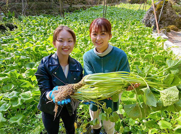 わさび収穫体験を体験する女性二人の画像